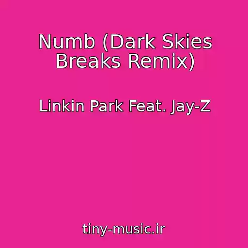 کاور آهنگ Numb (Dark Skies Breaks Remix) از Linkin Park Feat. Jay-Z