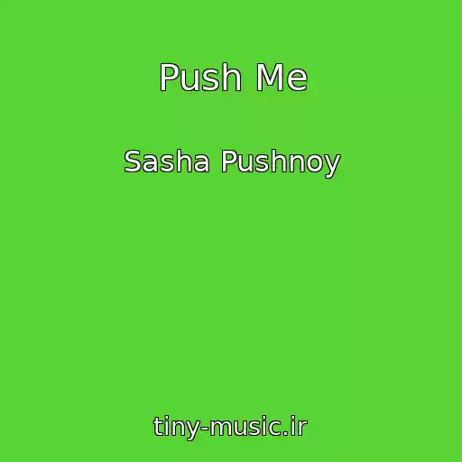 کاور آهنگ Push Me از Sasha Pushnoy