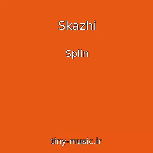 کاور آهنگ Skazhi از Splin