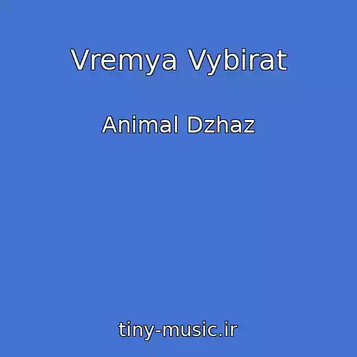 کاور آهنگ Vremya Vybirat از Animal Dzhaz