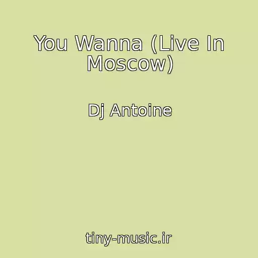 کاور آهنگ You Wanna (Live In Moscow) از Dj Antoine