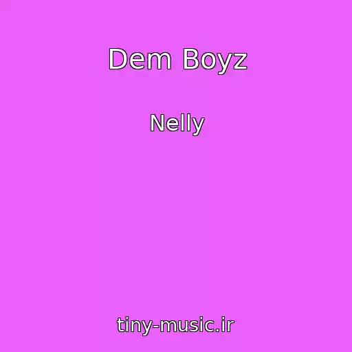کاور آهنگ Dem Boyz از Nelly