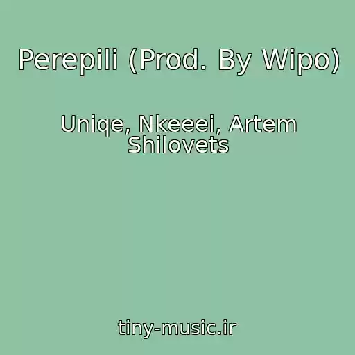 کاور آهنگ Perepili (Prod. By Wipo) از Uniqe, Nkeeei, Artem Shilovets
