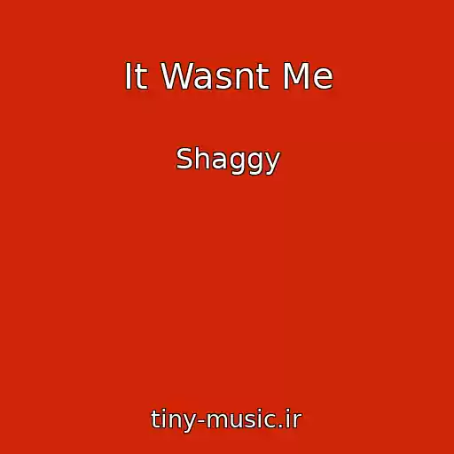 کاور آهنگ It Wasnt Me از Shaggy