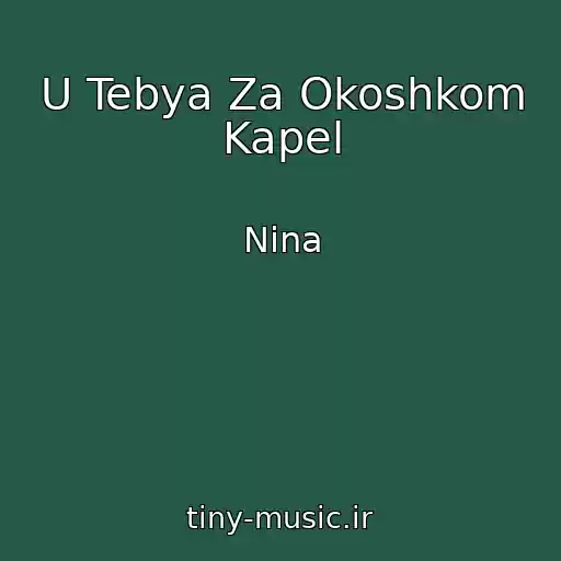 کاور آهنگ U Tebya Za Okoshkom Kapel از Nina