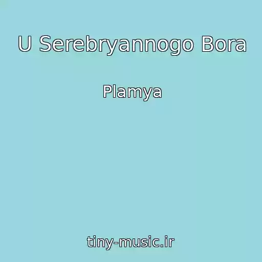 کاور آهنگ U Serebryannogo Bora از Plamya