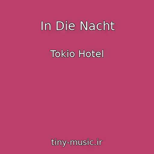 کاور آهنگ In Die Nacht از Tokio Hotel