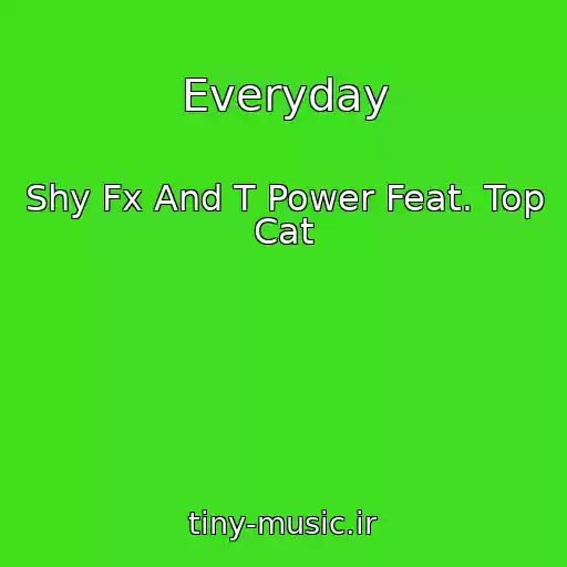 کاور آهنگ Everyday از Shy Fx And T Power Feat. Top Cat