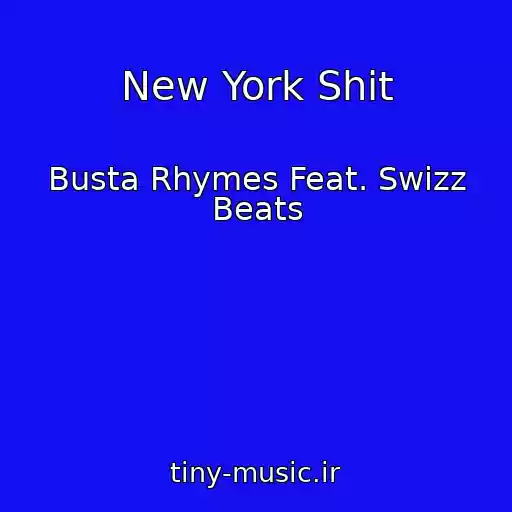 کاور آهنگ New York Shit از Busta Rhymes Feat. Swizz Beats