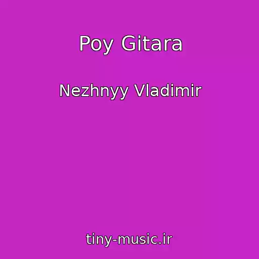 کاور آهنگ Poy Gitara از Nezhnyy Vladimir