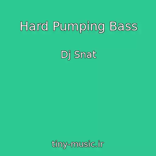 کاور آهنگ Hard Pumping Bass از Dj Snat