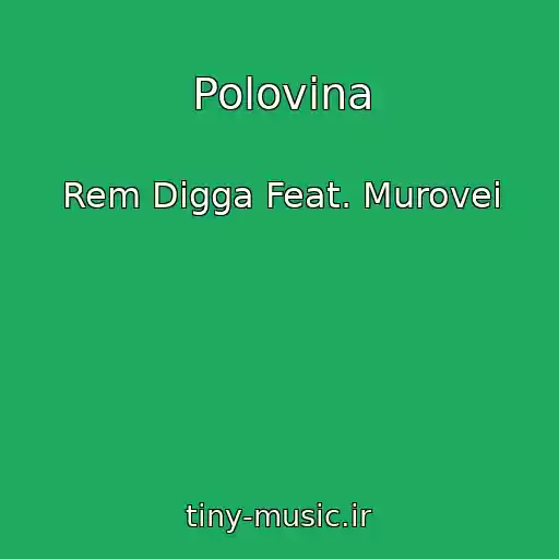کاور آهنگ Polovina از Rem Digga Feat. Murovei