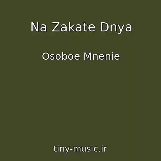 کاور آهنگ Na Zakate Dnya از Osoboe Mnenie