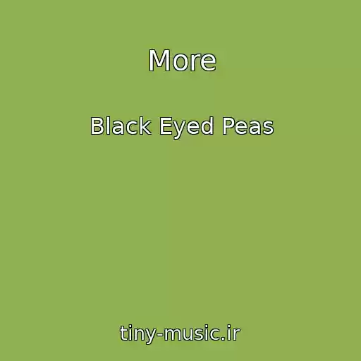 کاور آهنگ More از Black Eyed Peas