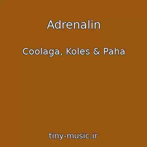 کاور آهنگ Adrenalin از Coolaga, Koles & Paha