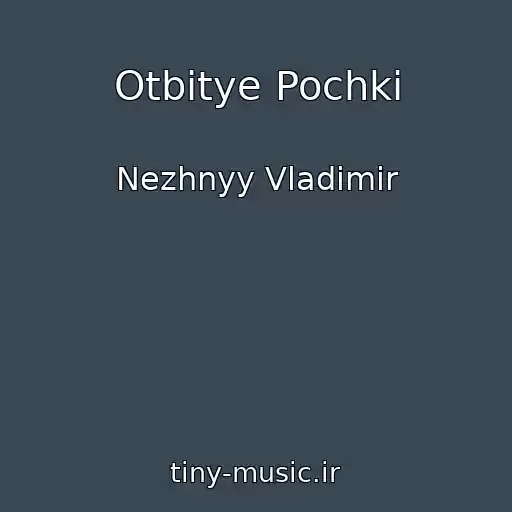 کاور آهنگ Otbitye Pochki از Nezhnyy Vladimir