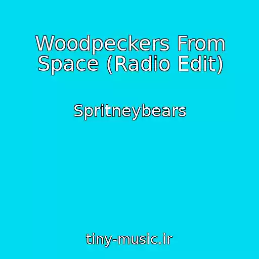 کاور آهنگ Woodpeckers From Space (Radio Edit) از Spritneybears