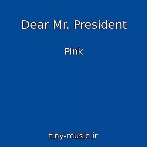 کاور آهنگ Dear Mr. President از Pink