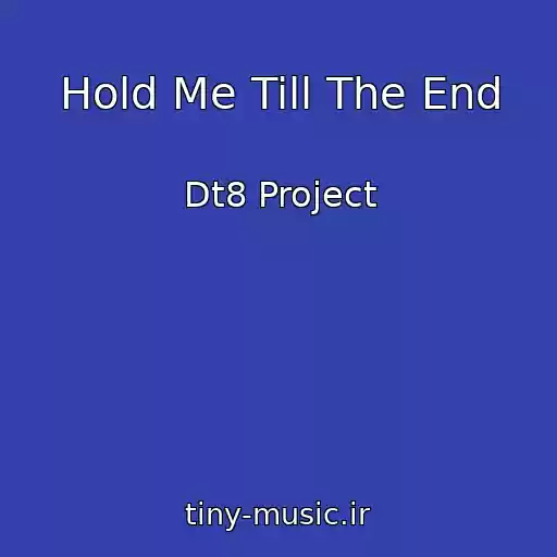 کاور آهنگ Hold Me Till The End از Dt8 Project