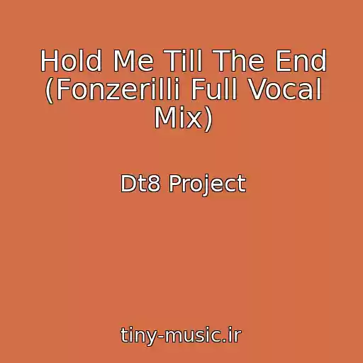 کاور آهنگ Hold Me Till The End (Fonzerilli Full Vocal Mix) از Dt8 Project