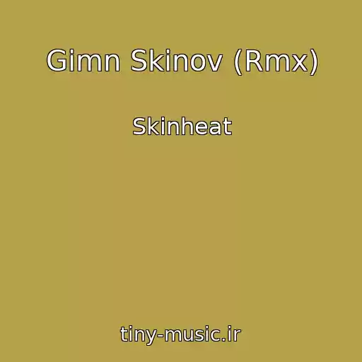 کاور آهنگ Gimn Skinov (Rmx) از Skinheat