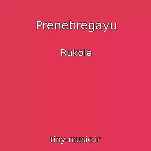 کاور آهنگ Prenebregayu از Rukola