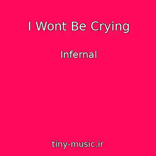 کاور آهنگ I Wont Be Crying از Infernal