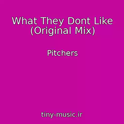 کاور آهنگ What They Dont Like (Original Mix) از Pitchers