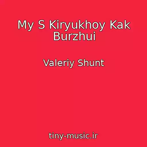 کاور آهنگ My S Kiryukhoy Kak Burzhui از Valeriy Shunt