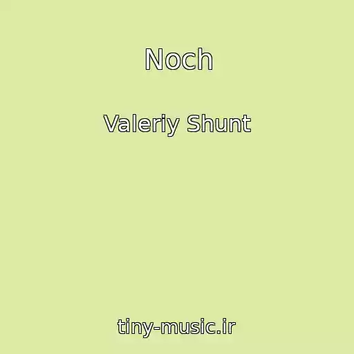 کاور آهنگ Noch از Valeriy Shunt