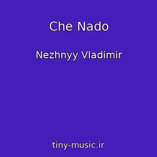 کاور آهنگ Che Nado از Nezhnyy Vladimir