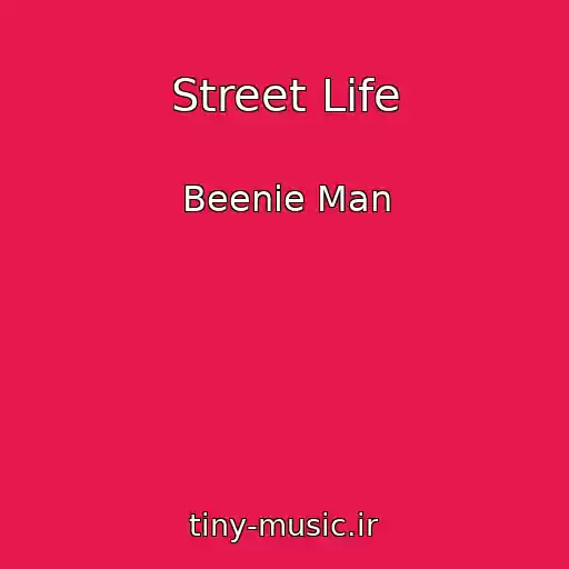 کاور آهنگ Street Life از Beenie Man