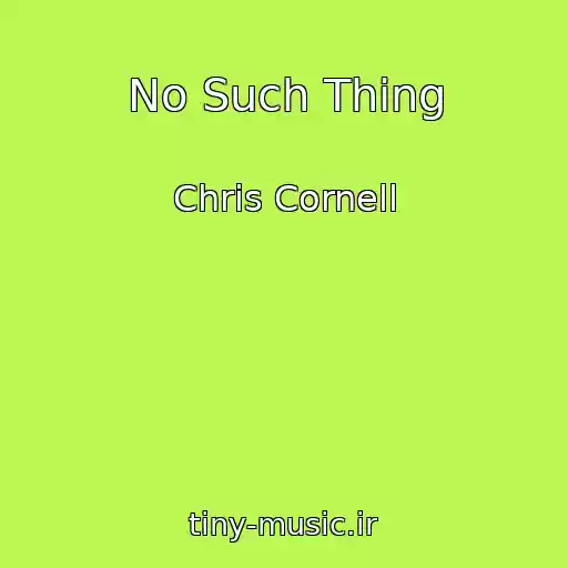 کاور آهنگ No Such Thing از Chris Cornell