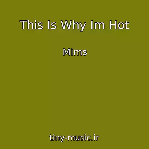 کاور آهنگ This Is Why Im Hot از Mims