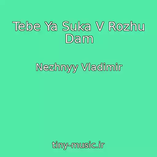 کاور آهنگ Tebe Ya Suka V Rozhu Dam از Nezhnyy Vladimir