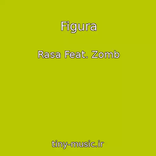 کاور آهنگ Figura از Rasa Feat. Zomb
