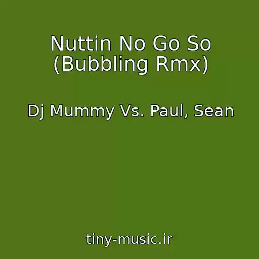 کاور آهنگ Nuttin No Go So (Bubbling Rmx) از Dj Mummy Vs. Paul, Sean