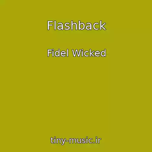 کاور آهنگ Flashback از Fidel Wicked