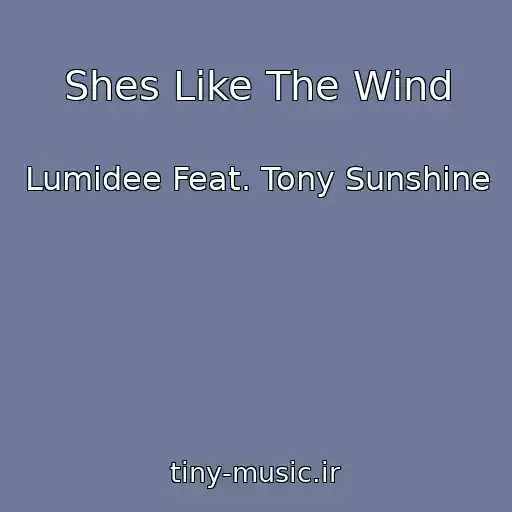 کاور آهنگ Shes Like The Wind از Lumidee Feat. Tony Sunshine
