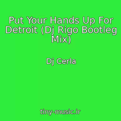 کاور آهنگ Put Your Hands Up For Detroit (Dj Rigo Bootleg Mix) از Dj Cerla