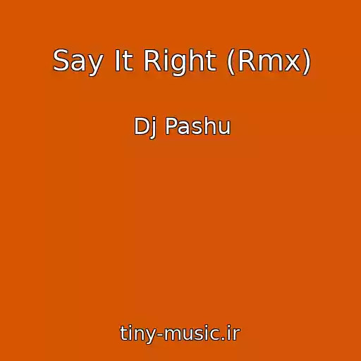 کاور آهنگ Say It Right (Rmx) از Dj Pashu