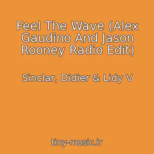 کاور آهنگ Feel The Wave (Alex Gaudino And Jason Rooney Radio Edit) از Sinclar, Didier & Lidy V