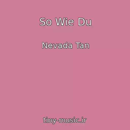کاور آهنگ So Wie Du از Nevada Tan