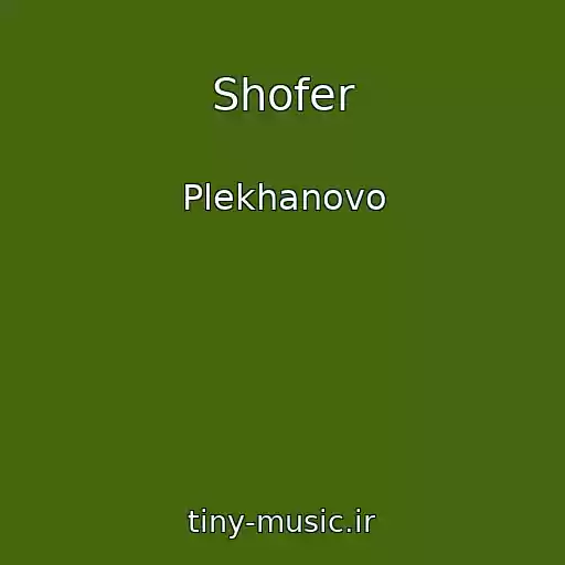 کاور آهنگ Shofer از Plekhanovo