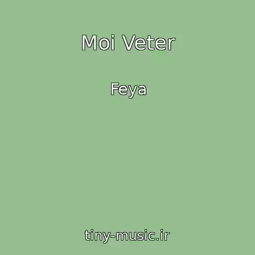 کاور آهنگ Moi Veter از Feya