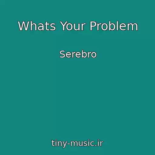 کاور آهنگ Whats Your Problem از Serebro