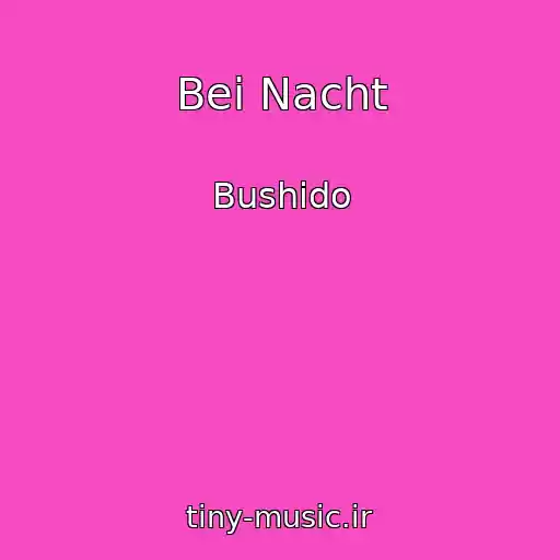 کاور آهنگ Bei Nacht از Bushido