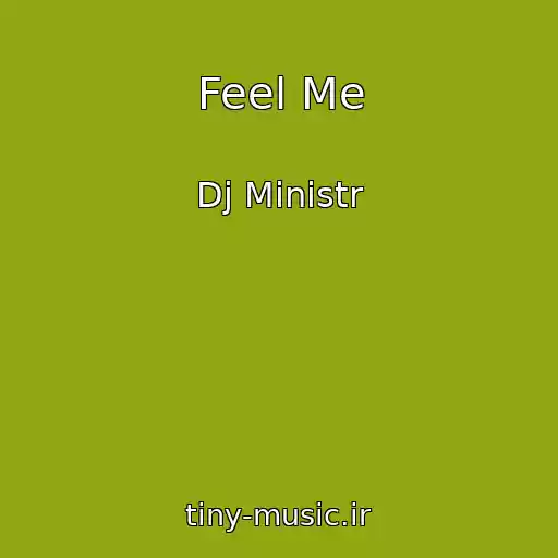 کاور آهنگ Feel Me از Dj Ministr
