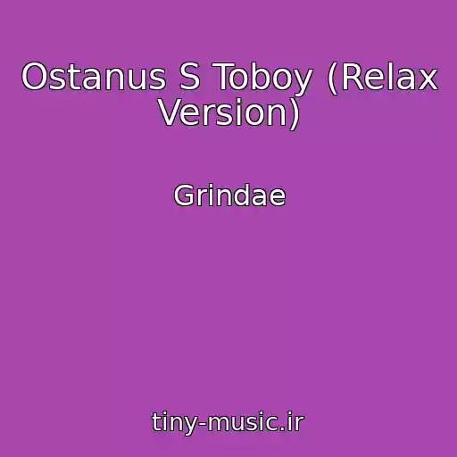 کاور آهنگ Ostanus S Toboy (Relax Version) از Grindae
