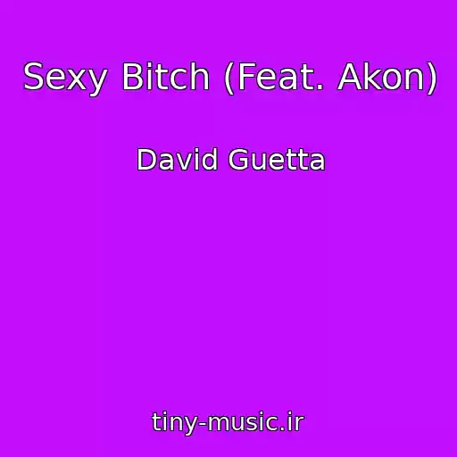 کاور آهنگ Sexy Bitch (Feat. Akon) از David Guetta